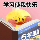 春日宜开学宜购买金相切割机，不容错过！