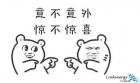 退完税，我又可以买金相抛光布了！