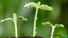 春暖花开正当时 | 选购金相耗材，就现在
