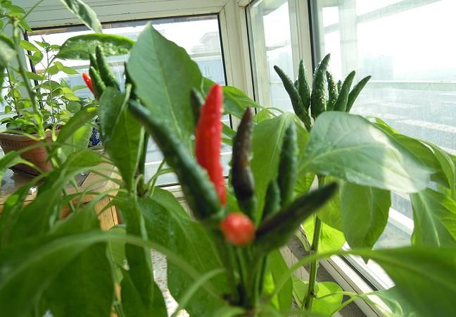 2010年10月照片 062.jpg