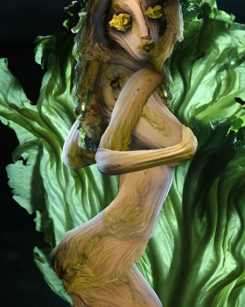 白菜雕塑.jpg