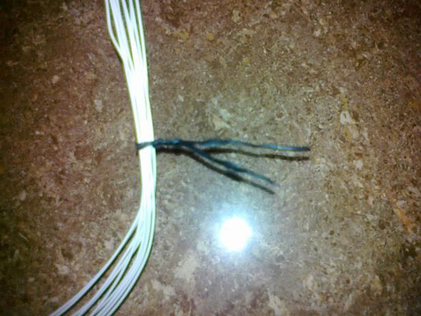 20110107297.jpg