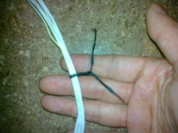 20110107299.jpg