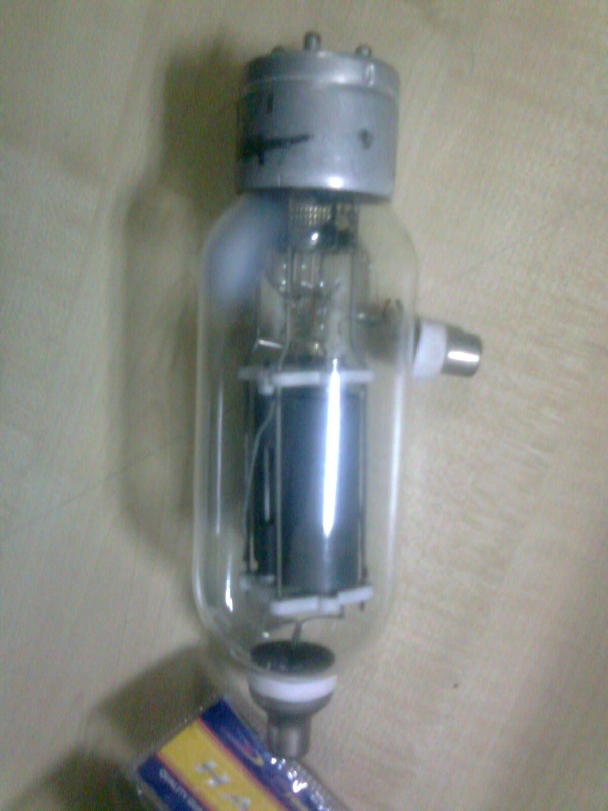Bablu0231.jpg