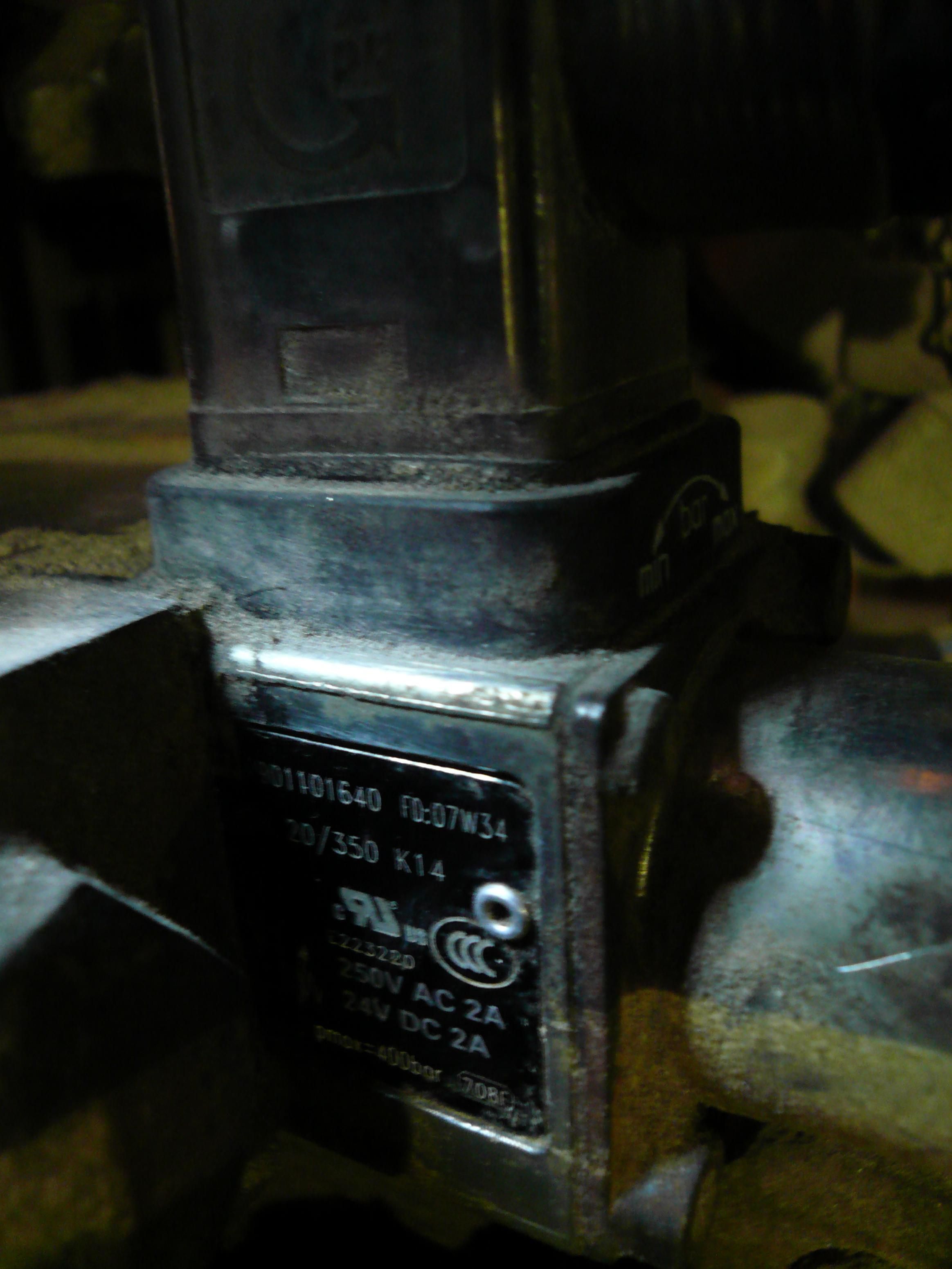 P1020319.JPG