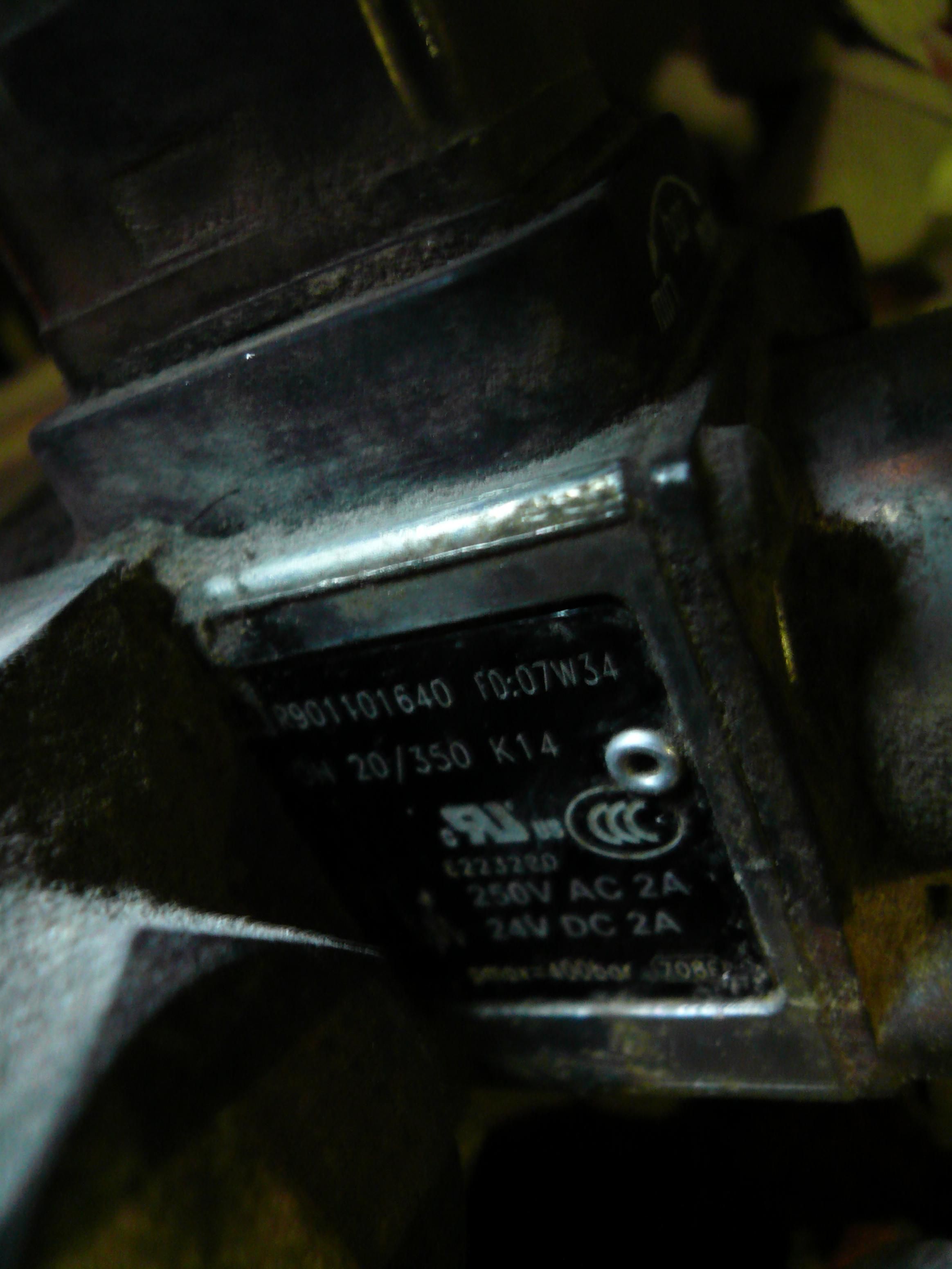 P1020321.JPG