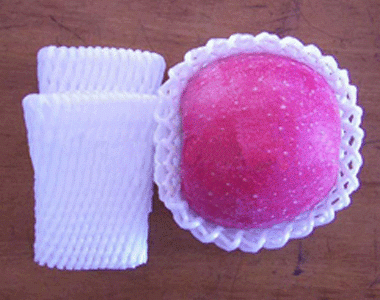 塑料发泡网.gif