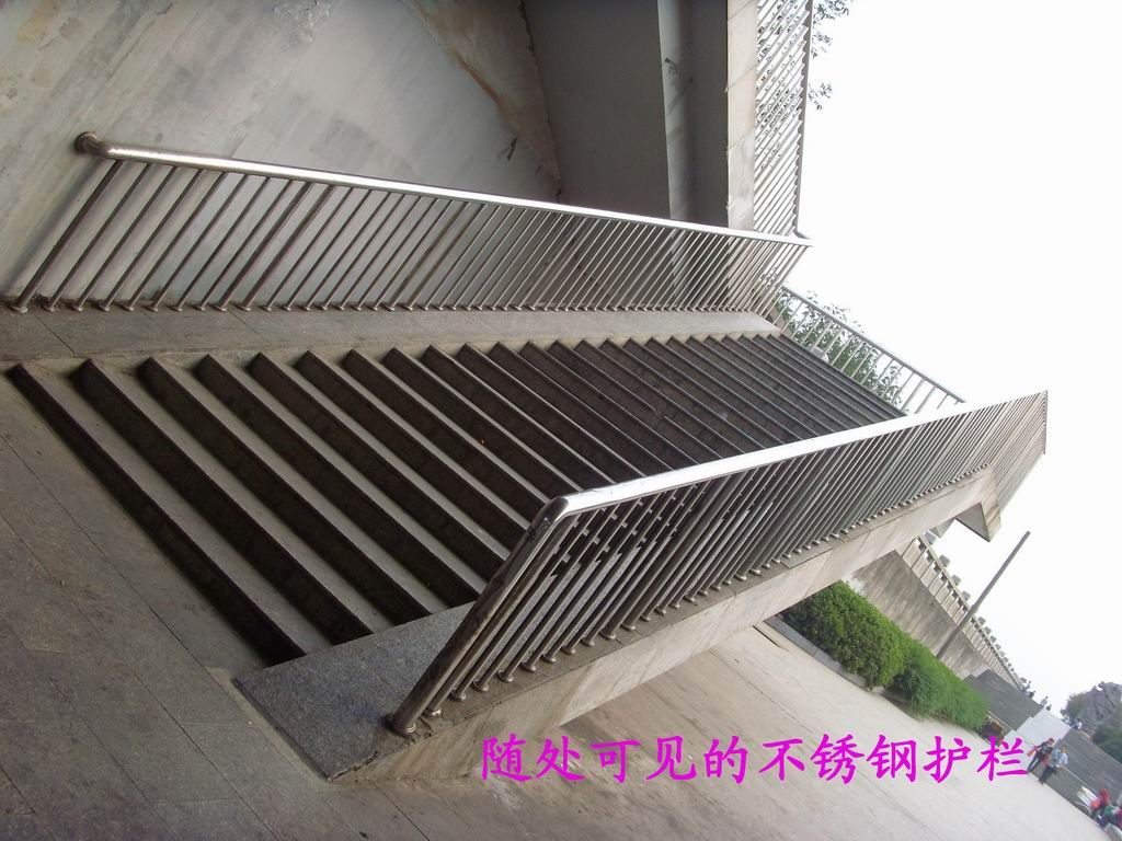 SI853580.JPG