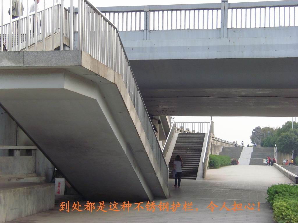 SI853585.JPG