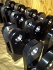 TN-IMG-20110127-00064.jpg