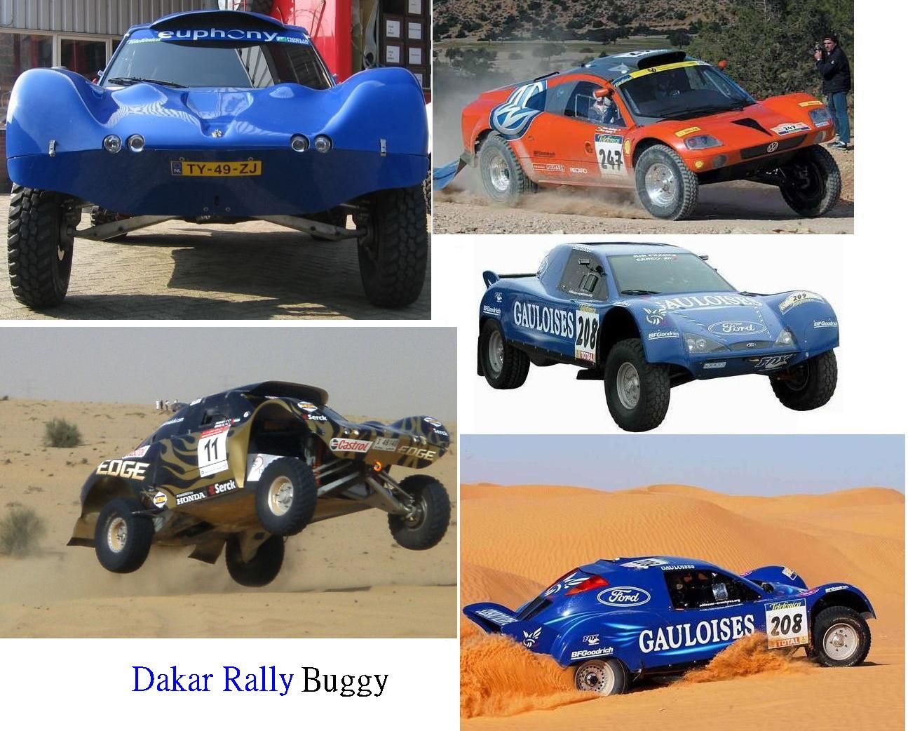 Dakar拉力賽Buggy.JPG