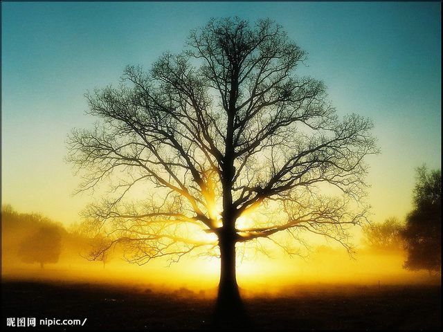 2009113223957516_2g.jpg