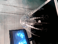 VID_201210_clip.gif