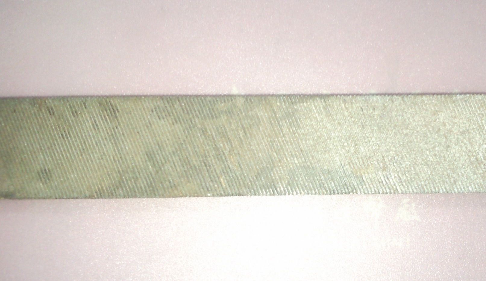 SNC00992.jpg