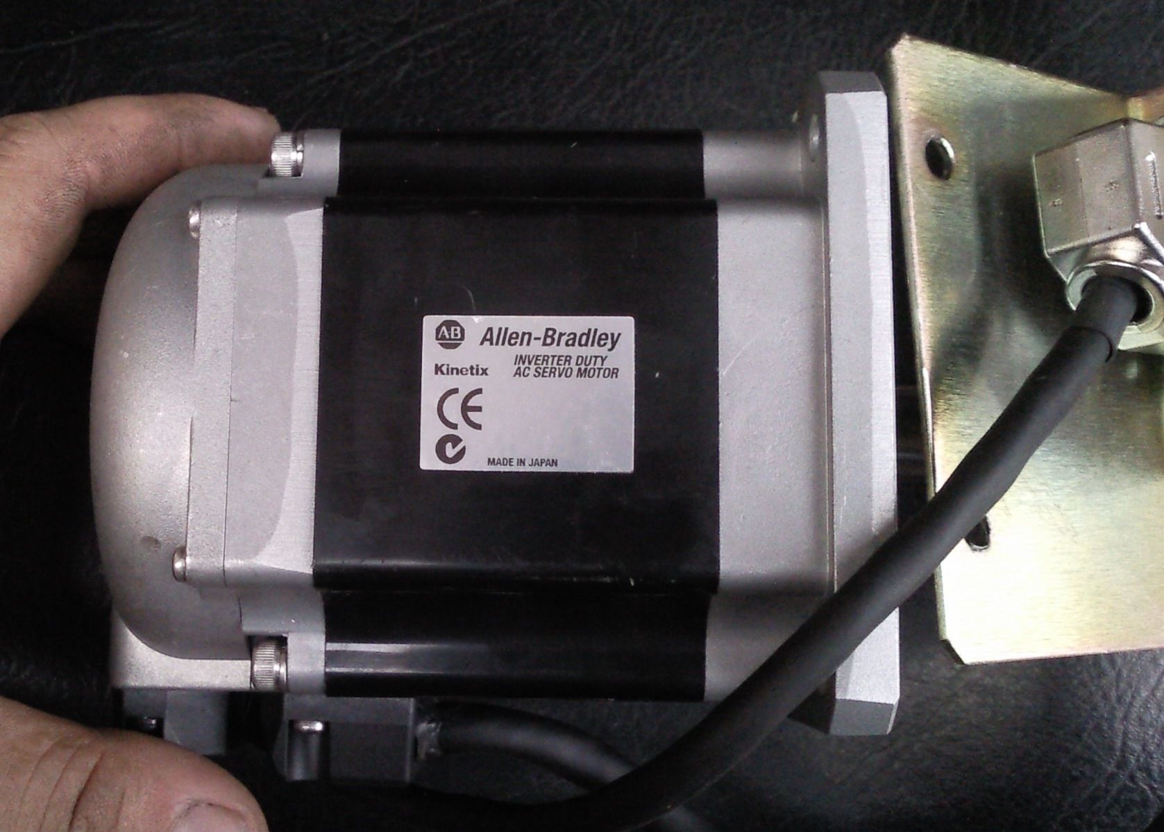 SNC01935.jpg