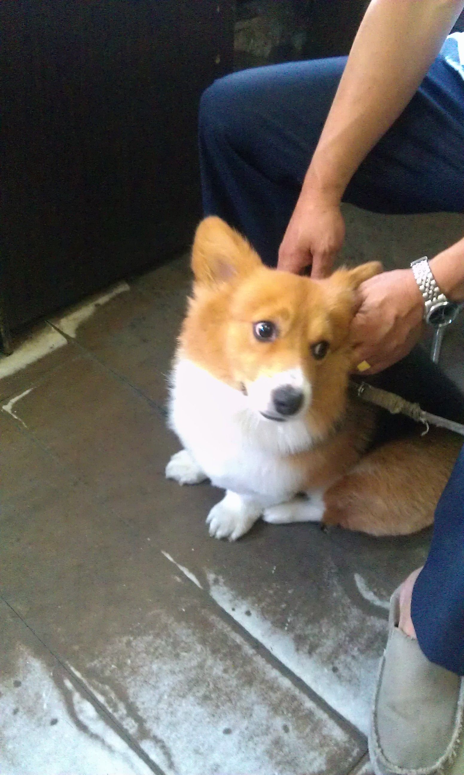 IMAG0092.jpg
