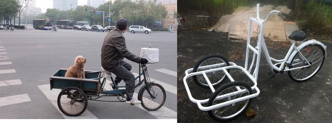 溜狗車22.JPG