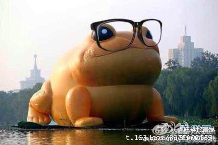 眼镜~