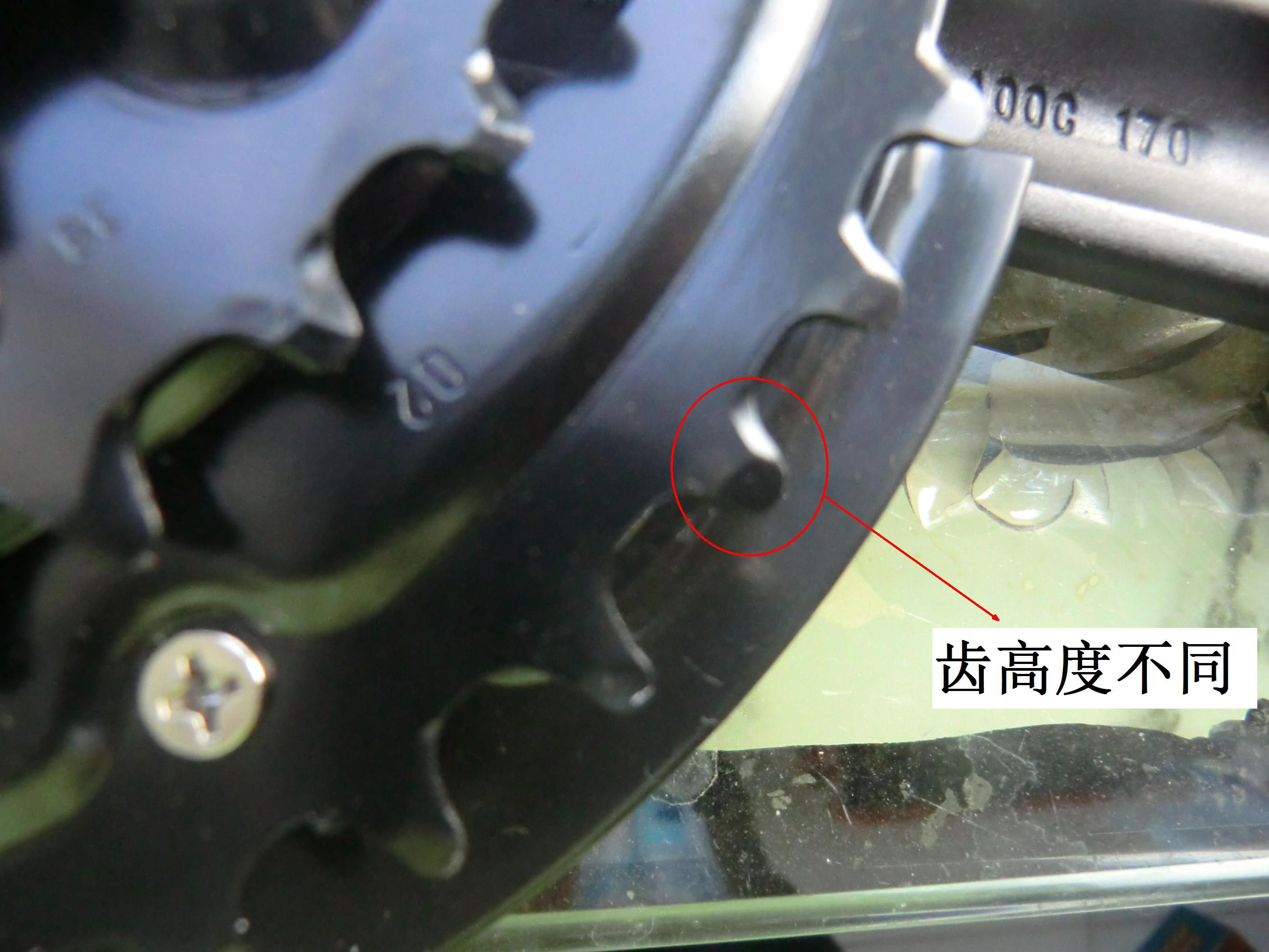 CIMG5406a .jpg