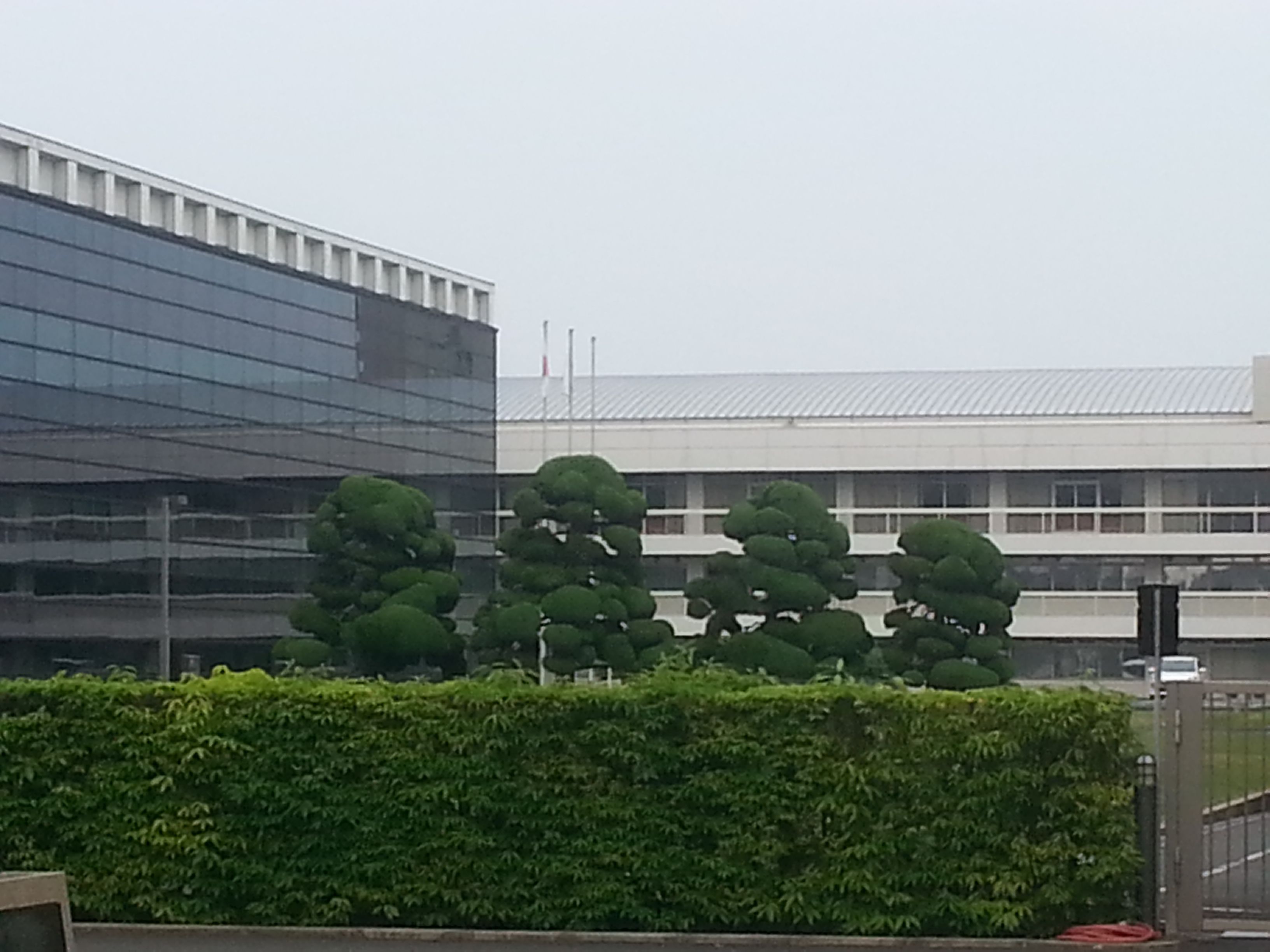 20150528_154418.jpg