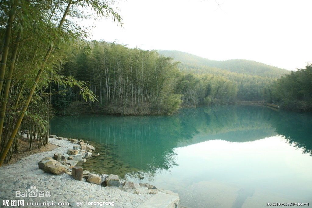 石塘竹海.jpg