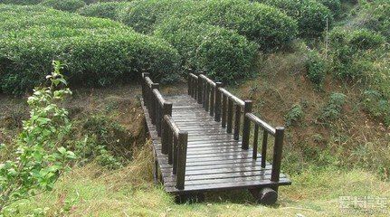 黄龙砚9.jpg