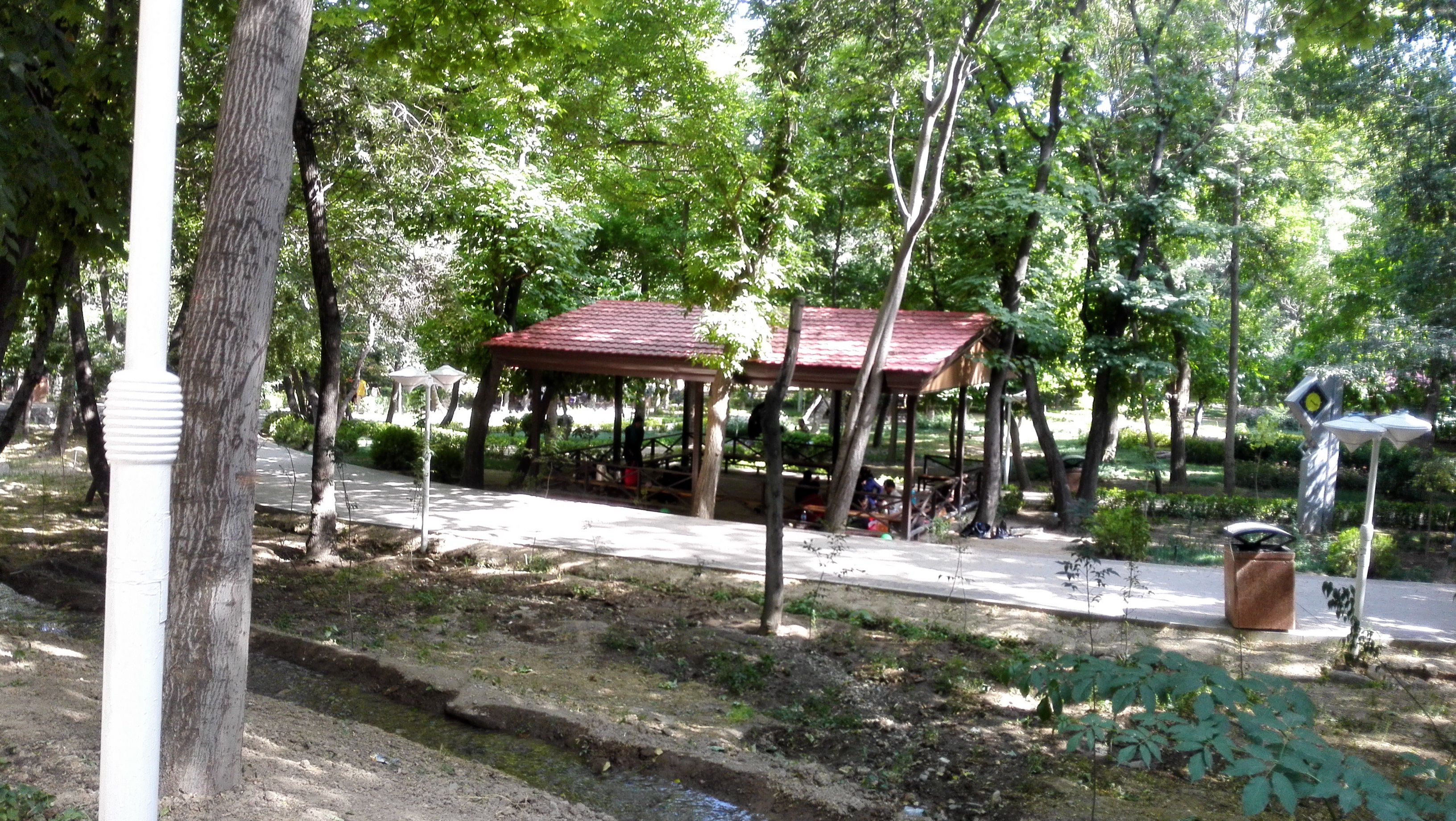 IMG_20150605_195403.jpg