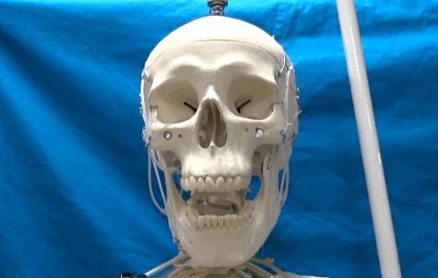 151Z4D40-0.gif