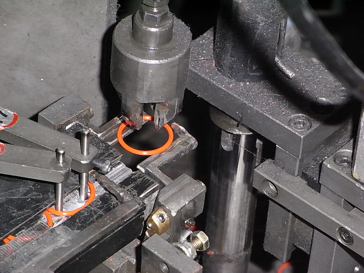 RIMG0773.JPG