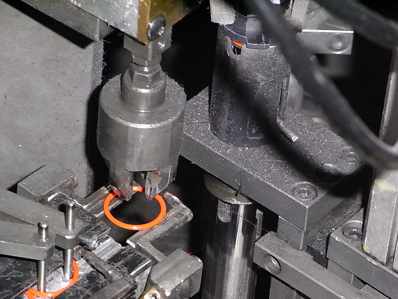 RIMG0772.JPG