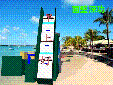 1包装输送401.gif