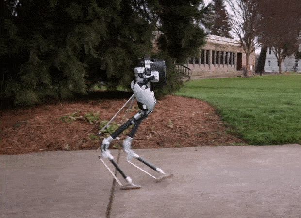 58a035d946abe.gif