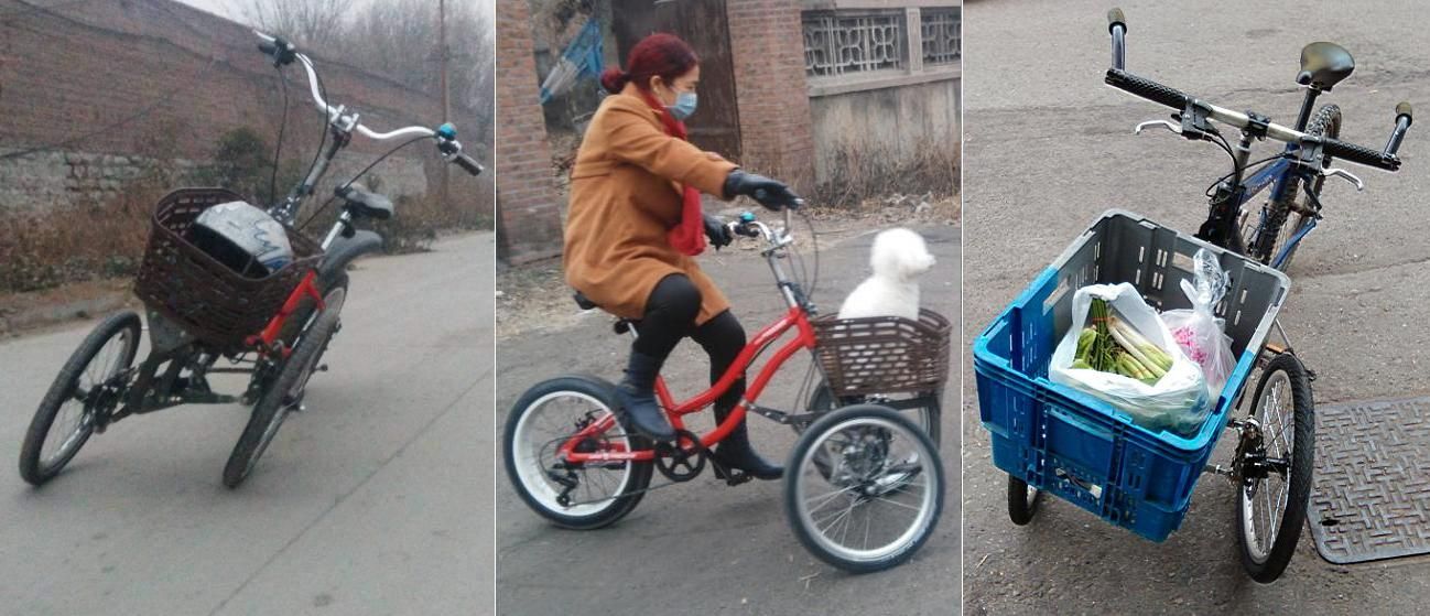 前二輪自行車c.JPG