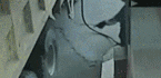 111802fc929mqfkm29komm.gif