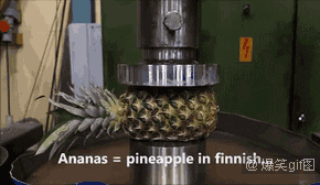 菠萝榨汁.gif