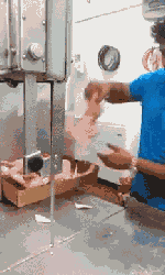鸡肉.gif