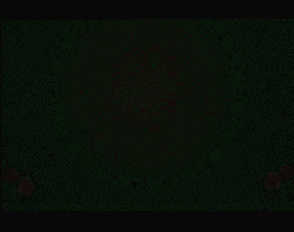 端午节快乐06.gif