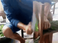 1499529047863.gif