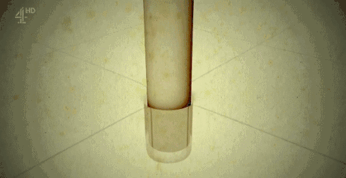 mmexport1501217718812.gif