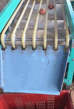 QQ图片20171028122305.gif