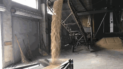 苏州４.gif