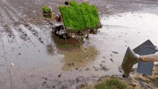 苏州２.gif