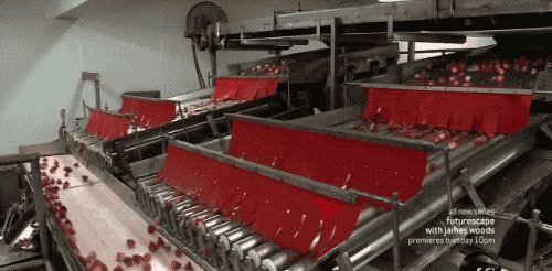 草莓５.gif