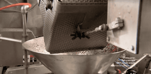 草莓６.gif