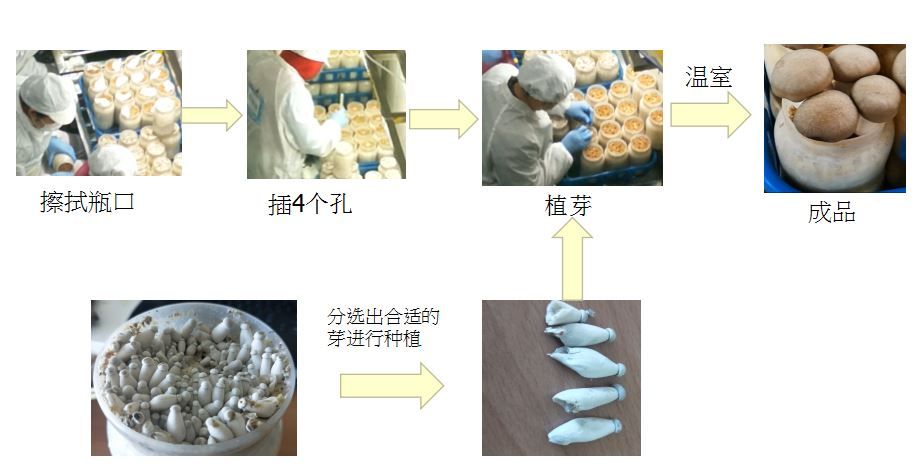 擷取1.JPG