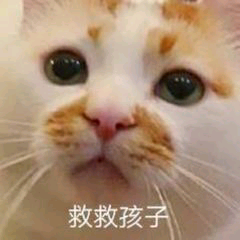 8fa67a30a3a7f2.png