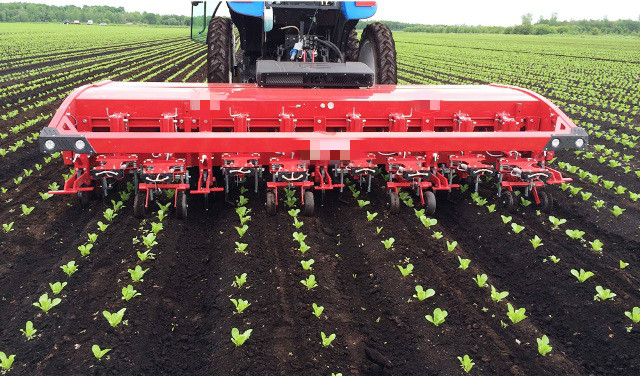 automatic-in-row-weeder-kj.jpg