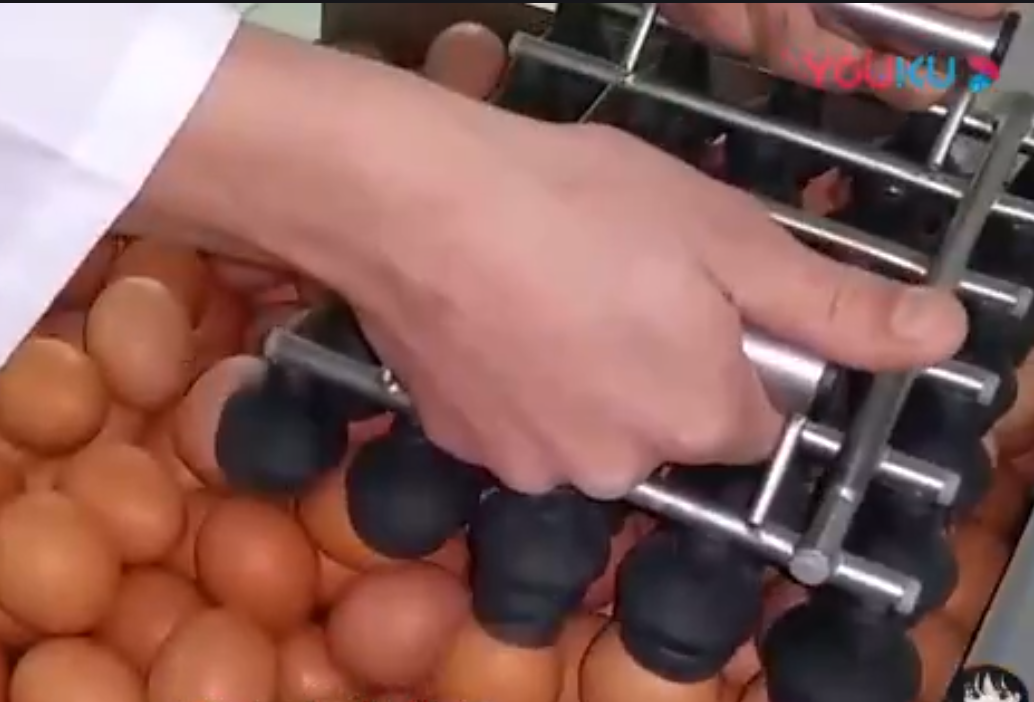 QQ截图20200110081656.png