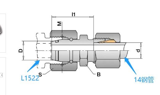 95922.jpg