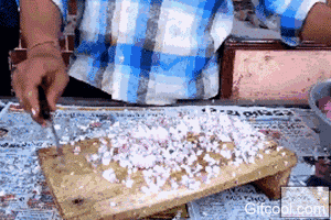 18切洋葱.gif